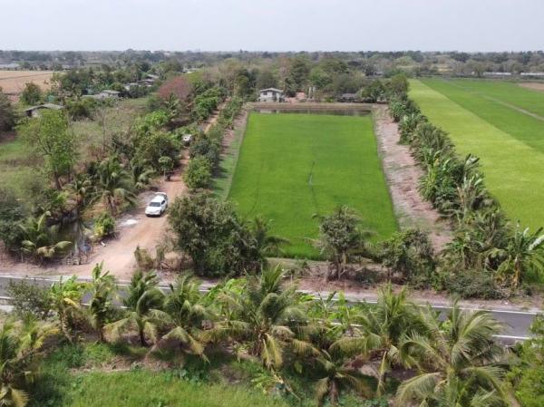 ที่ดิน 21 ไร่ ที่ดิน 21 ไร่