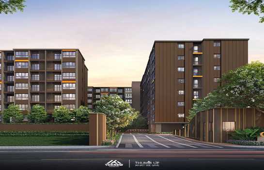 �͹���ͧ���� �ҧ�л�