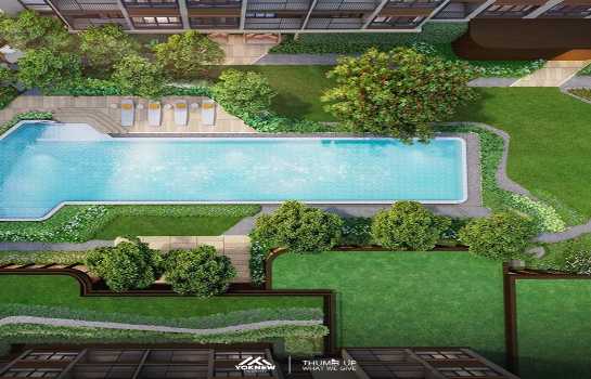 �͹������������� �ҧ�л�