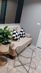 �͹� �ǹ��ǧ