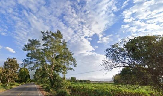 �����§��� �� Estate Corner