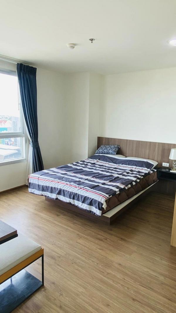 �͹����ͧ �� samita