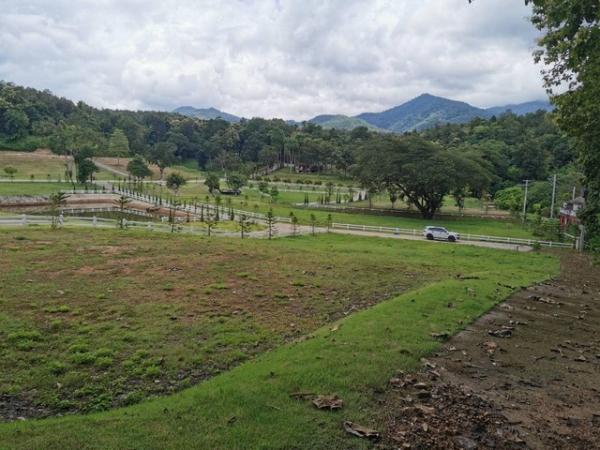 �ҧ�� �� kulchaya1