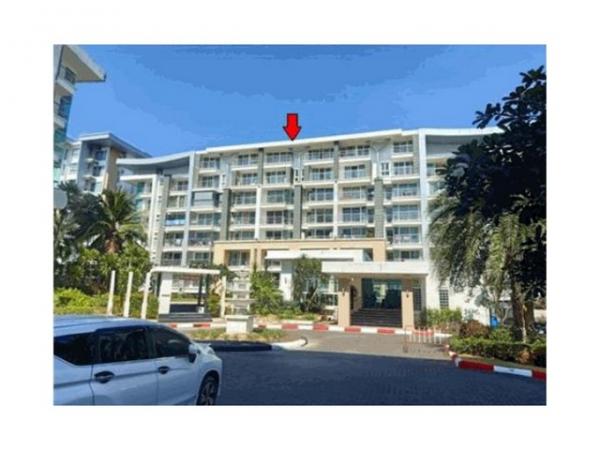 ���� �� panaya.opalopal