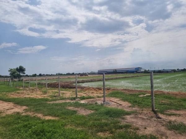 ���ͧ �� kea