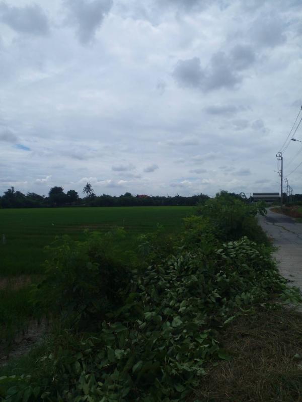 ที่ดิน 4 ไร่ ที่ดิน 4 ไร่