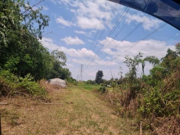 ����� �� onanong khumaphao