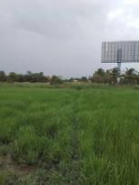 ���Թ ���� 2,400 ���ҧ��