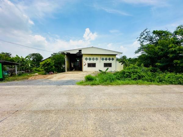 ขายโกดัง หนองจอก ขายโกดัง หนองจอก