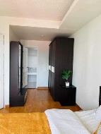 �͹� 56 ���ҧ����