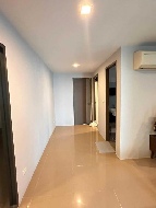 �͹� �Ѳ��