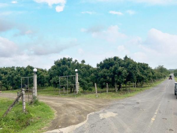 ��ͷͧ �� goodlada24