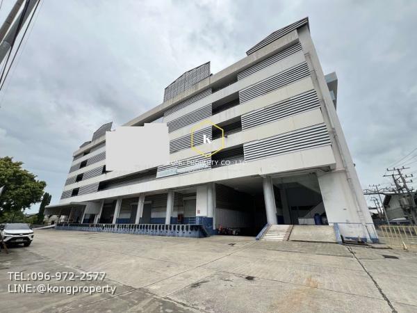 ��л��ᴧ �� Kong property