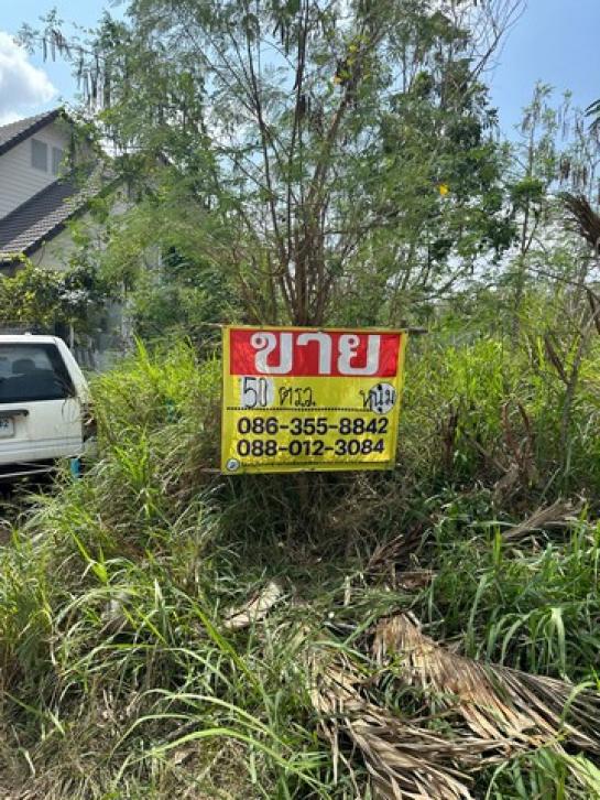 �ҧ���ا �� zionasset1