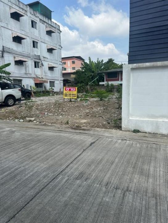 �ҧ�л� �� zionasset1