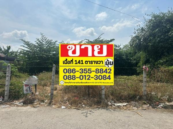 �ҧ�л� �� zionasset1