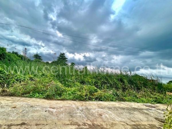 ����Ѳ�� �� central2