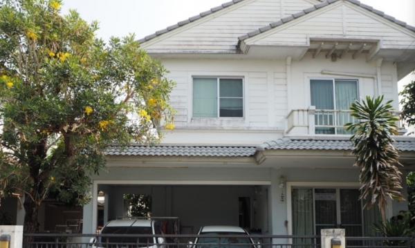 ��¹������ �� Nan