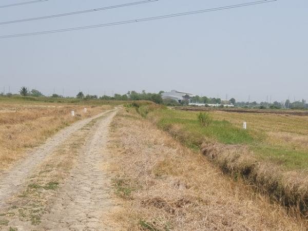 �ҧ�С� �� amaraphat78