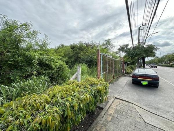 ��»����� �� coasset22