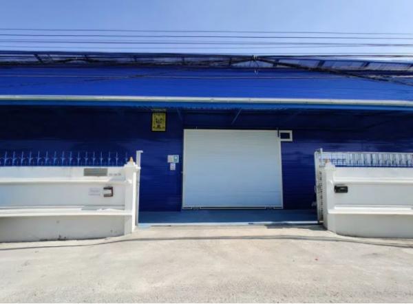 ���⡴ѧ �֧������ا෾