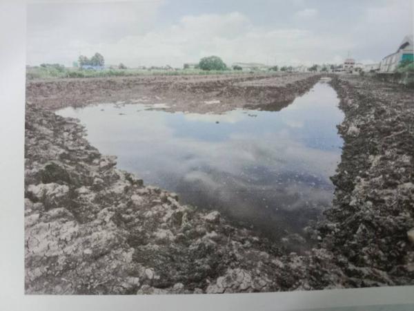 ที่ดิน 21 ไร่ ที่ดิน 21 ไร่