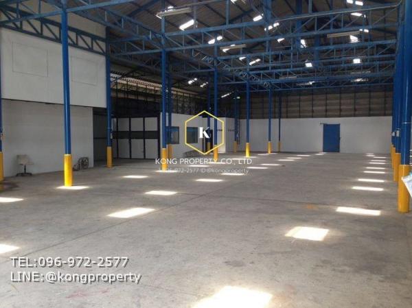 �ҧ�л� �� Kong property