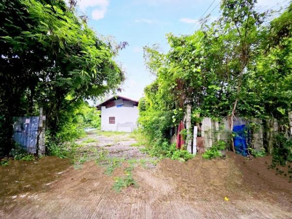 ��ͷͧ �� goodlada24