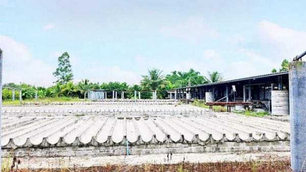 ��ͷͧ �� goodlada24