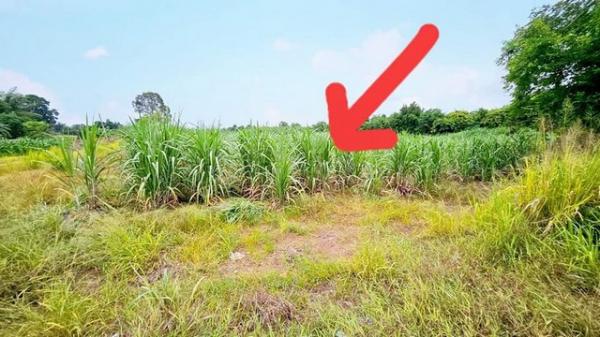 ��ͷͧ �� goodlada24