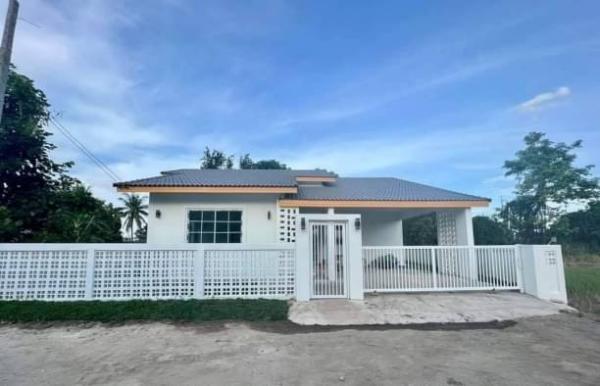 �ҧ�� �� onanong khumaphao