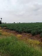 ��·��Թ �Ҥһ�С�Ȣ�� 6,800,000 �ҷ