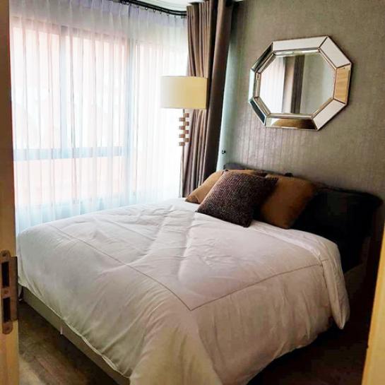 �͹������� �ҧࢹ��ا෾