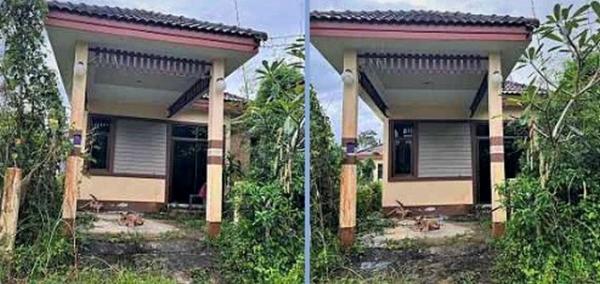 ��º�ҹ ���ͧ�йͧ�йͧ