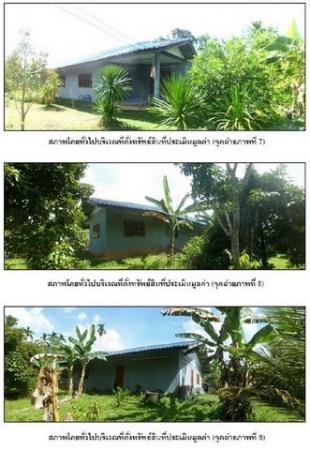 ��º�ҹ �ѹ�ѧʵ�����