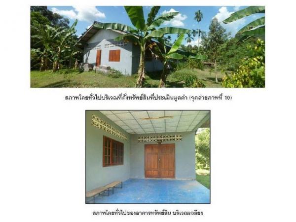 ��º�ҹ �ѹ�ѧʵ�����