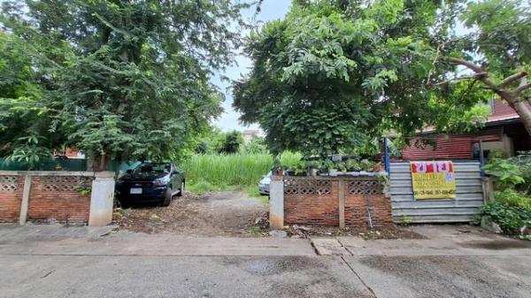 �͹�� �� zionasset1