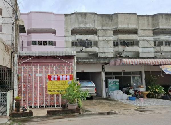 �͹�� �� zionasset1