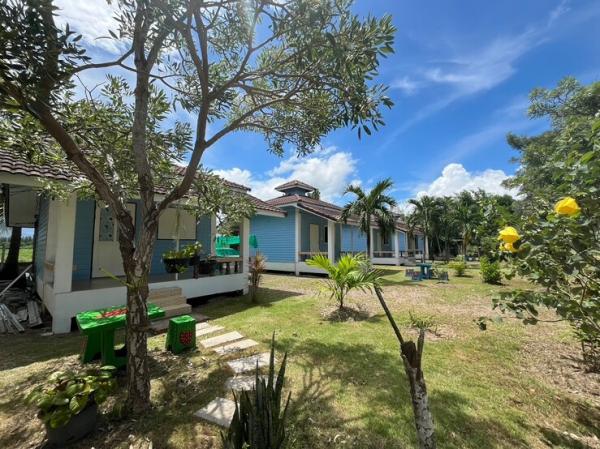 ��¸�áԨ ����ྪú���