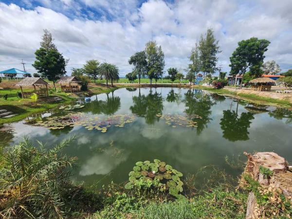 ��¸�áԨ ����ྪú���