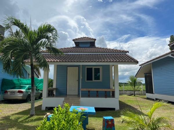 ��¸�áԨ ����ྪú���