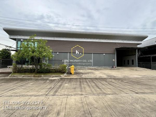 ⡴ѧ�ҧ��� �� Kong property