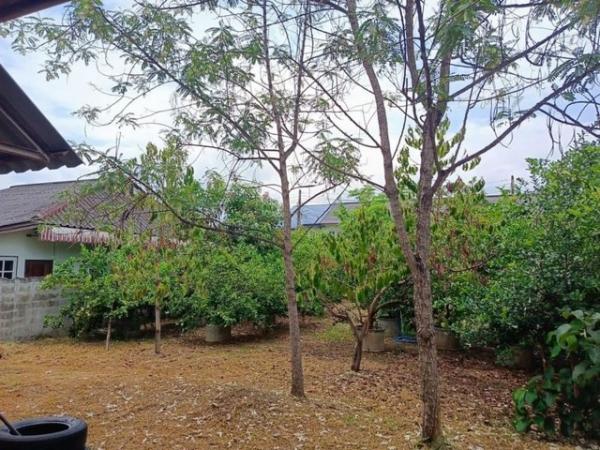 ����� �� northern1