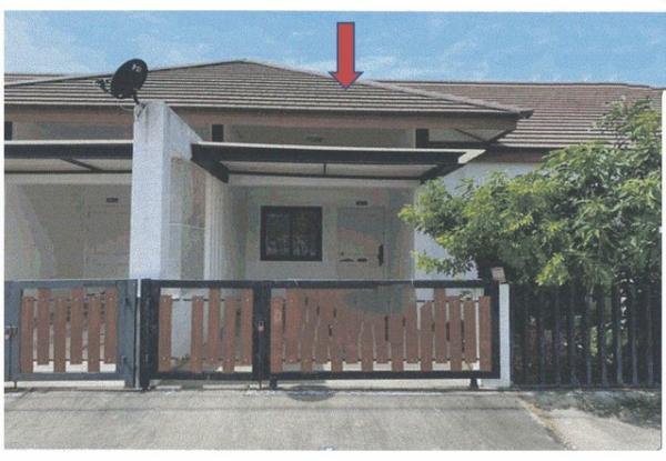 ʧ��� �� panaya.opalopal