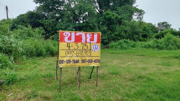 ������ �� zionasset1