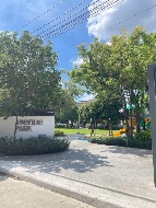 ��ǹ���� 20 ���ҧ�Һҧ��Ƿͧ �������