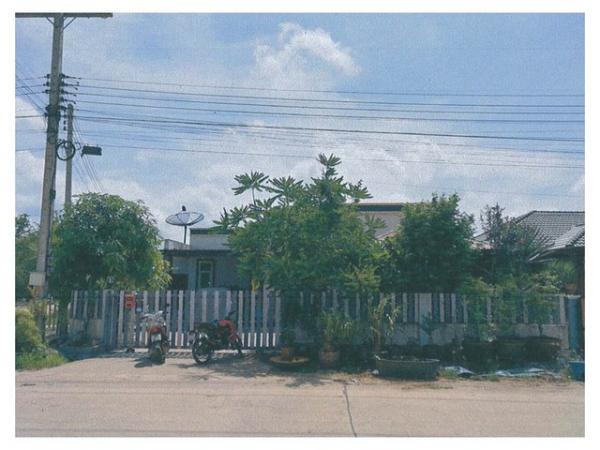 ���ʧ��� �� compos2566