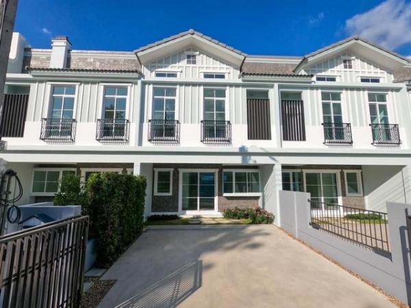 ��»����� �� asanghapl