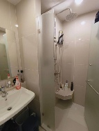 ������ �͹� �ҧ�л� ��ا෾