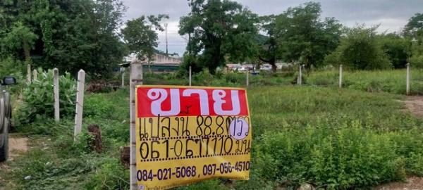 ������ �� zionasset1